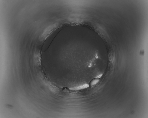 X0000113981252200911131047