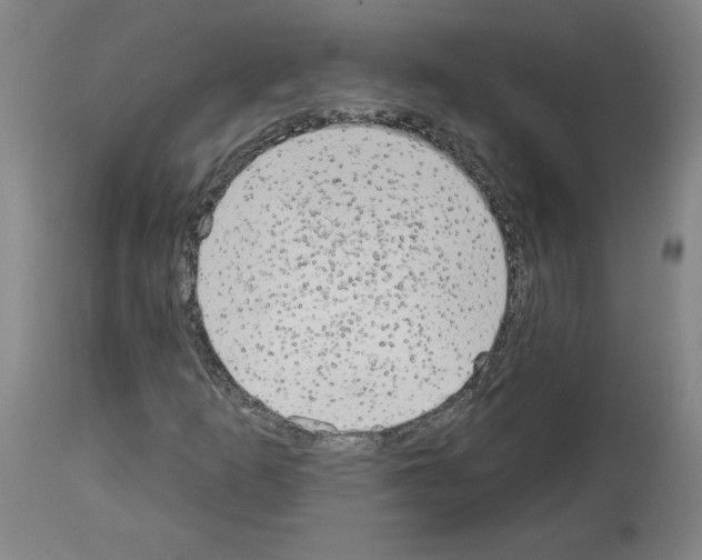 X0000113981253200911131047