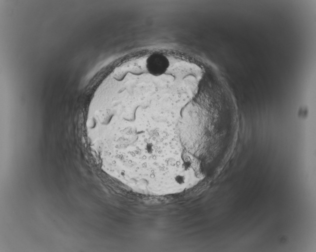 X0000113981255200911131047