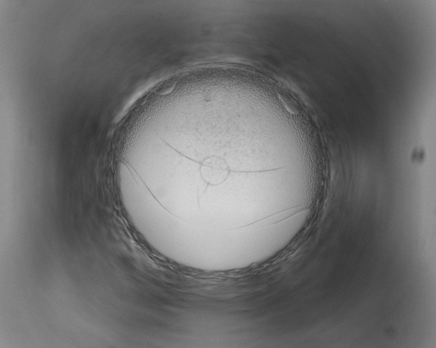 X0000113981256200911131047