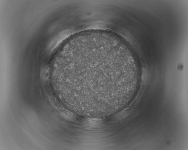 X0000113981258200911131047