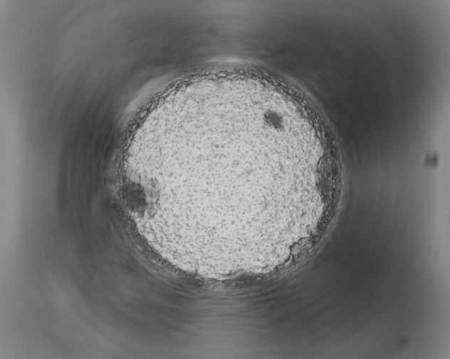 X0000113981259200911131047