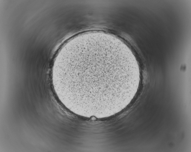 X0000113981260200911131047