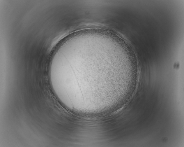 X0000113981261200911131047