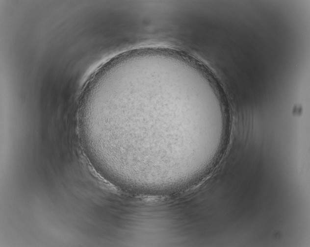 X0000113981262200911131047