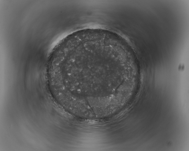 X0000113981263200911131047