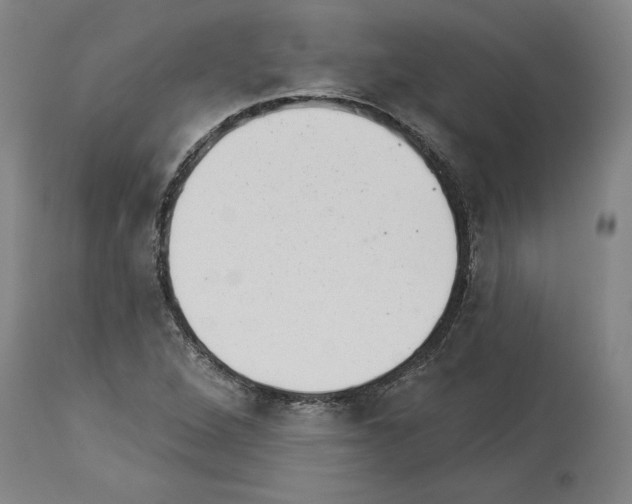 X0000113981264200911131047