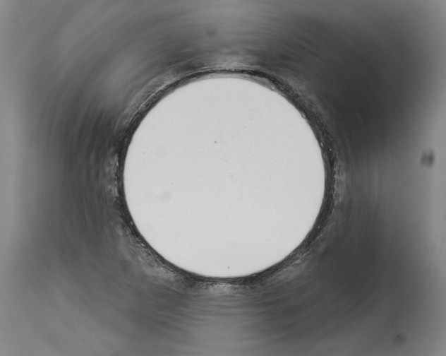 X0000113981265200911131047