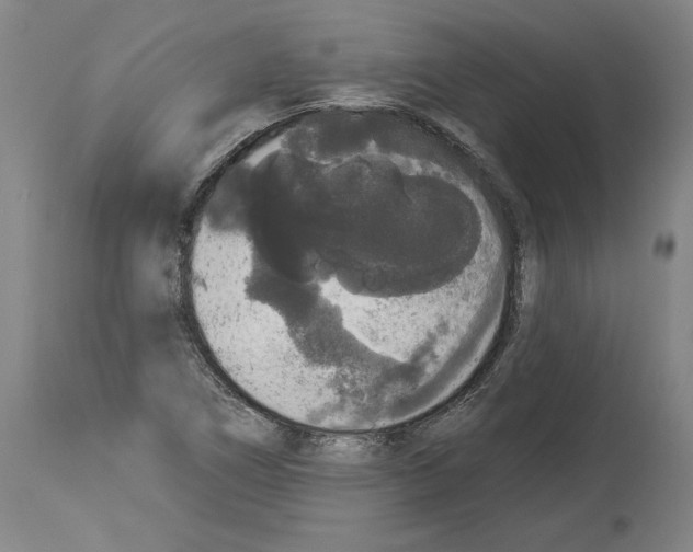 X0000113981266200911131047