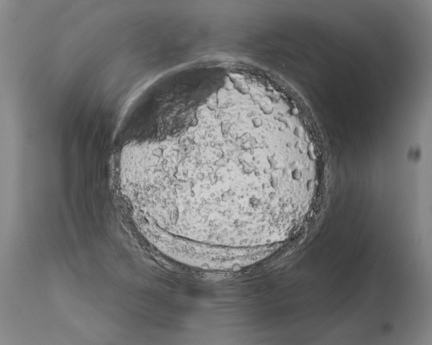 X0000113981267200911131047