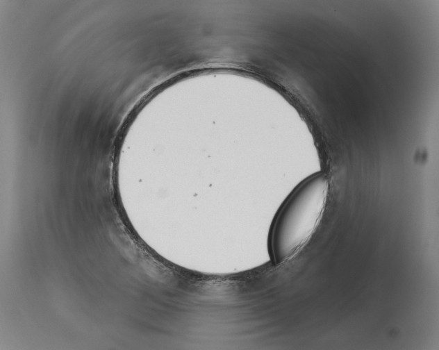 X0000113981268200911131047