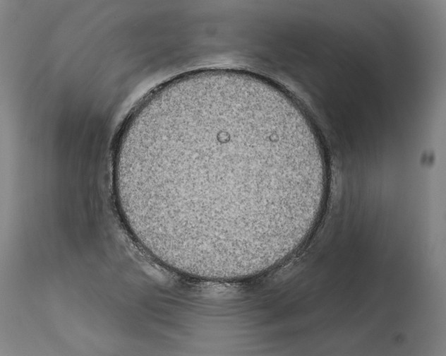X0000113981270200911131047