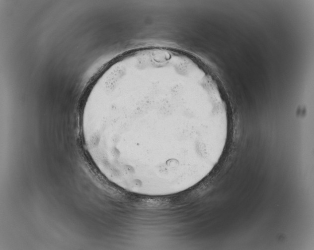 X0000113981271200911131047