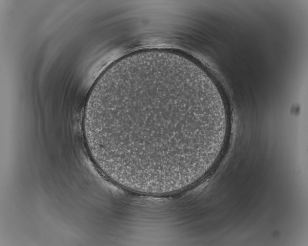 X0000113981273200911131047