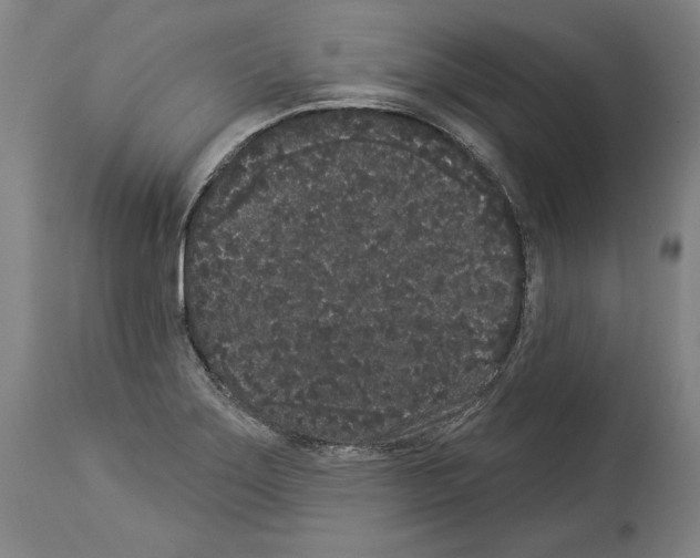 X0000113981275200911131047