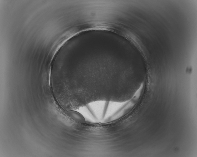 X0000113981276200911131047