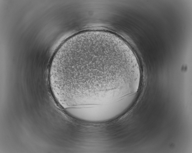 X0000113981277200911131047