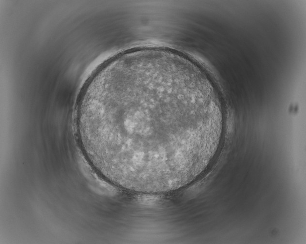 X0000113981278200911131047