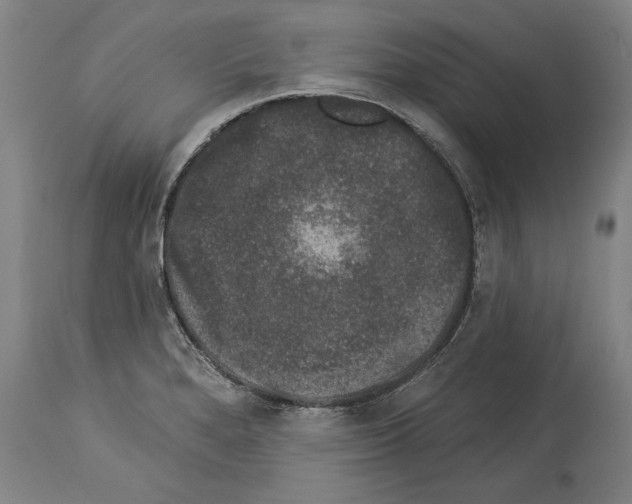 X0000113981280200911131047