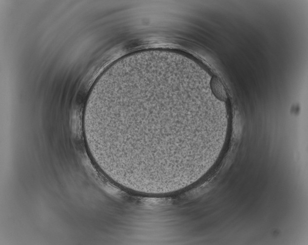 X0000113981281200911131047