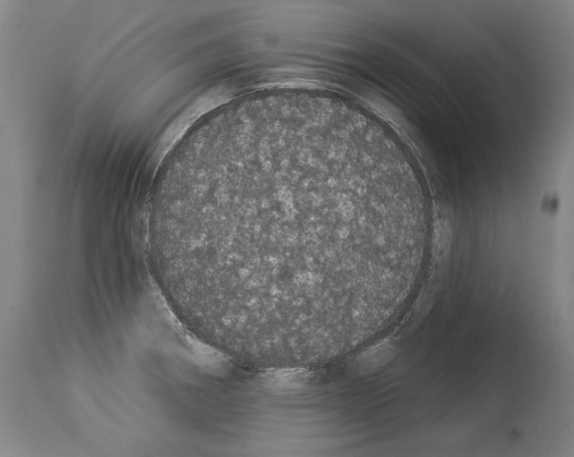 X0000113981282200911131047