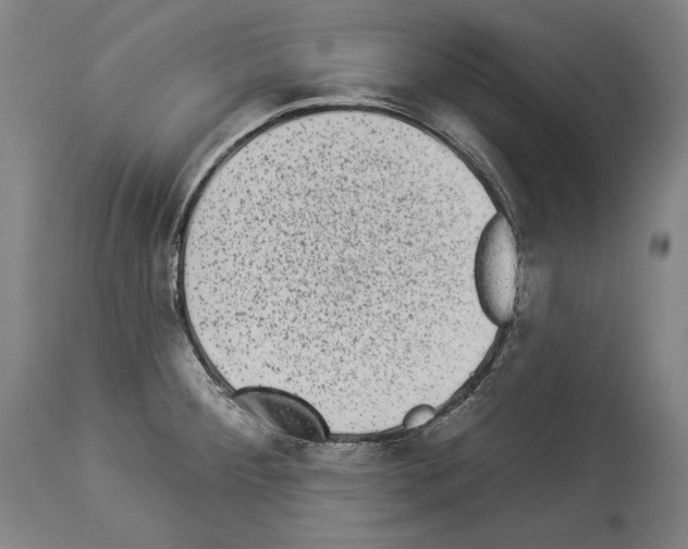 X0000113981284200911131047