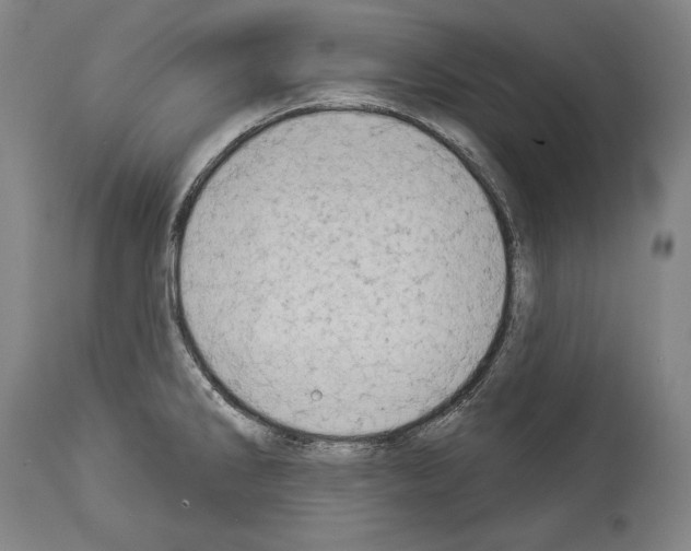 X0000113981286200911131047