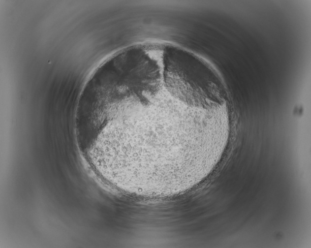 X0000113981287200911131047