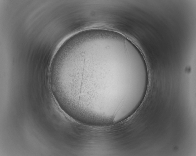 X0000113981288200911131047