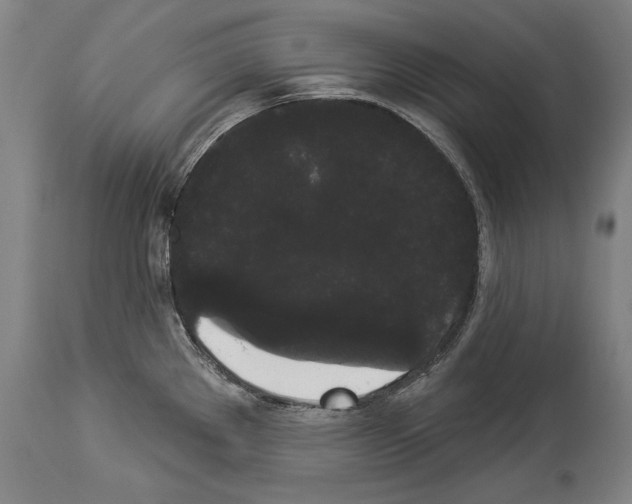 X0000113981289200911131047