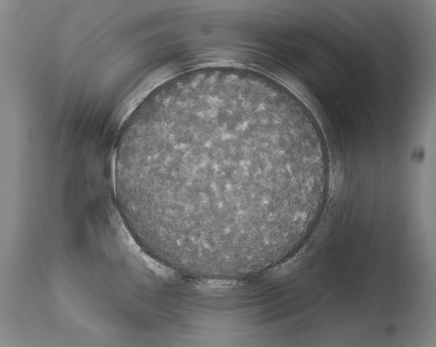 X0000113981290200911131047