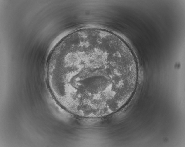 X0000113981294200911131047