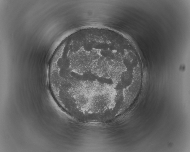 X0000113981295200911131047