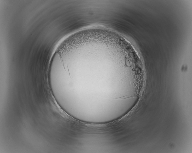 X0000113981296200911131046