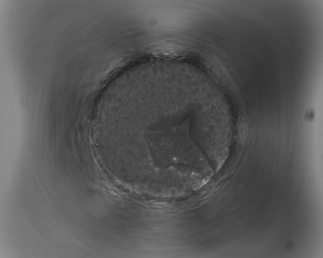 X0000113981297200911131046