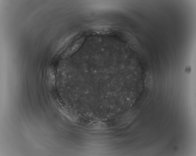 X0000113981298200911131046