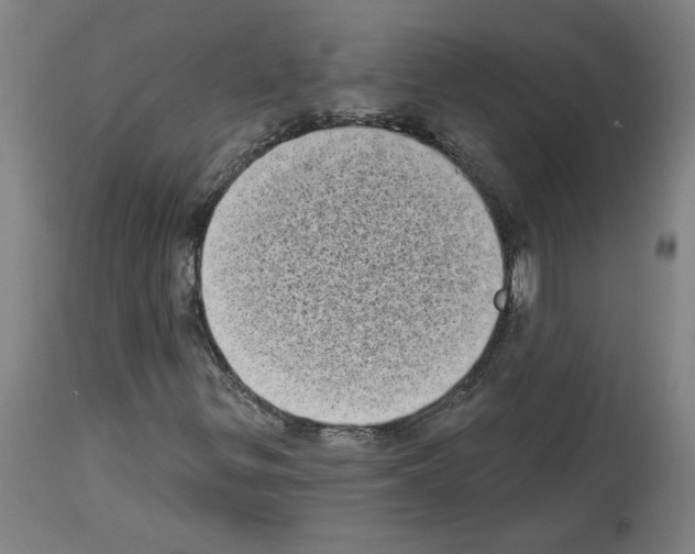 X0000113981299200911131046