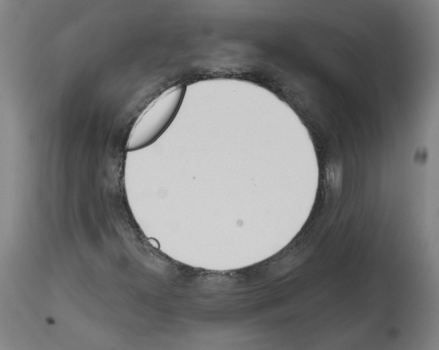 X0000113981300200911131046