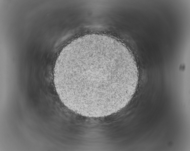 X0000113981301200911131046