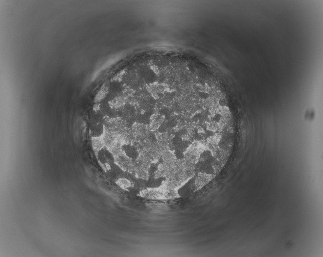 X0000113981302200911131046
