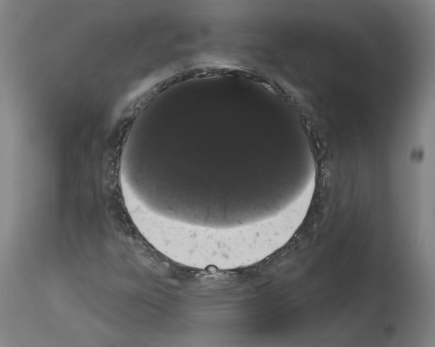 X0000113981303200911131046