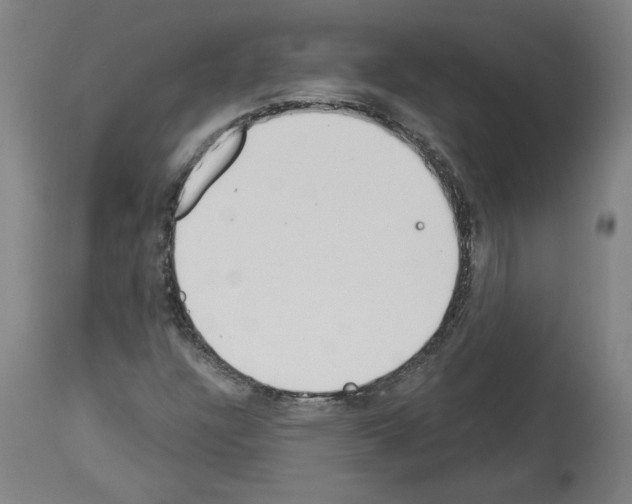 X0000113981304200911131046