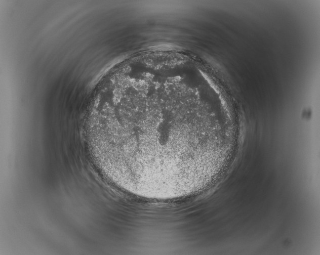 X0000113981305200911131046