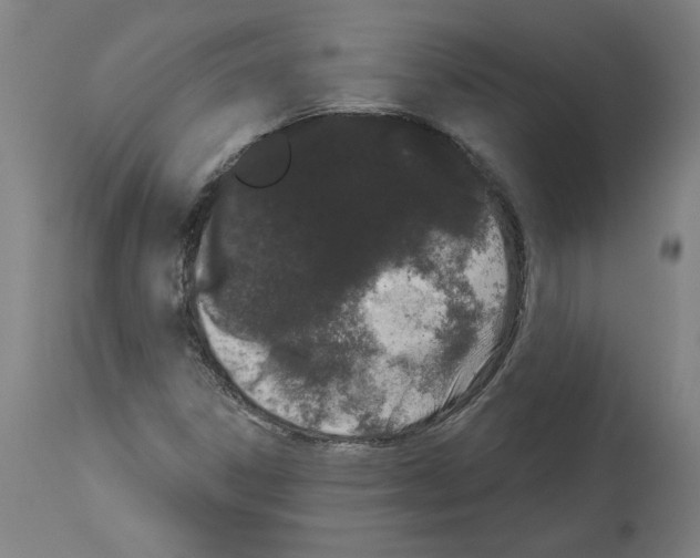 X0000113981306200911131046