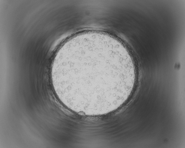 X0000113981307200911131046