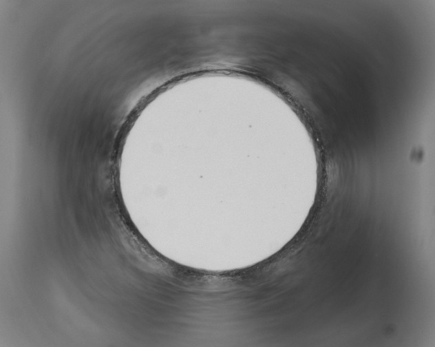 X0000113981308200911131046