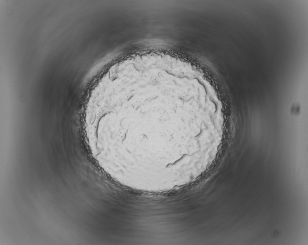 X0000113981309200911131046