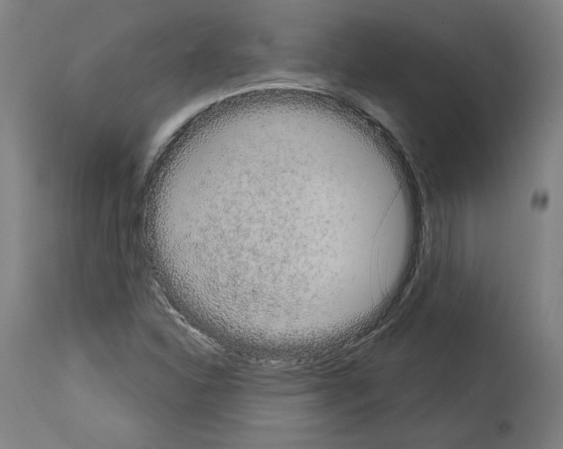 X0000113981310200911131046