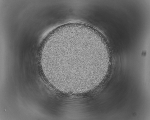 X0000113981311200911131046