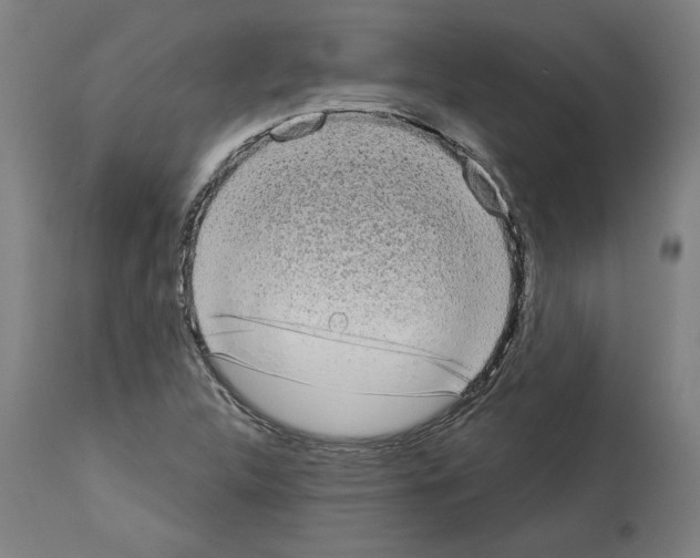 X0000113981312200911131046